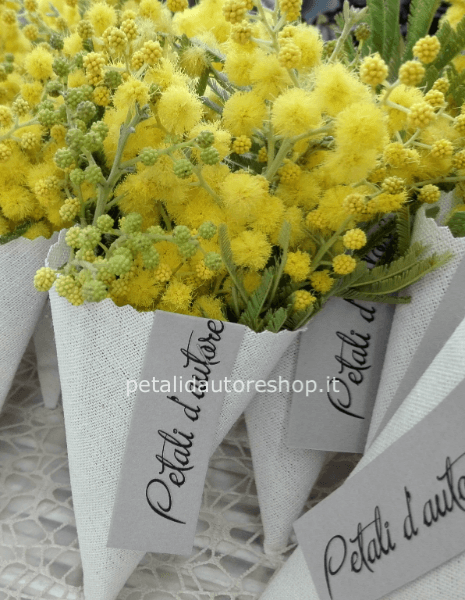 Mimosa confezionata singolarmente