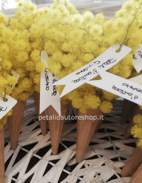 Mimosa per Bar/Ristoranti e Attività commerciali (richiedi preventivo)