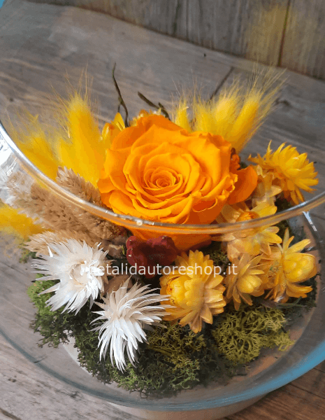 Festa della Mamma » Acquista online e invia fiori e piante a